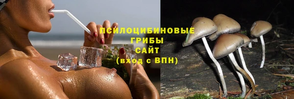 трава Надым