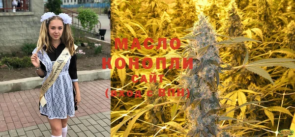 гидра Нея