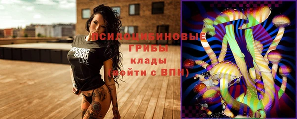 трава Надым