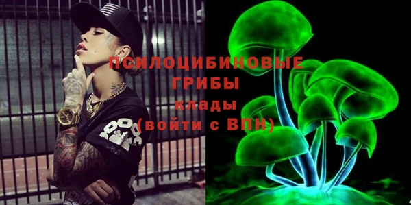индика Новозыбков