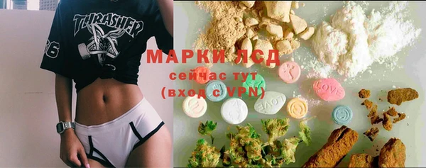 гидра Нея