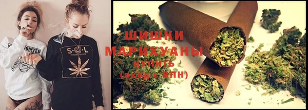 трава Надым