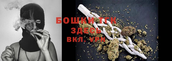 гидра Нея