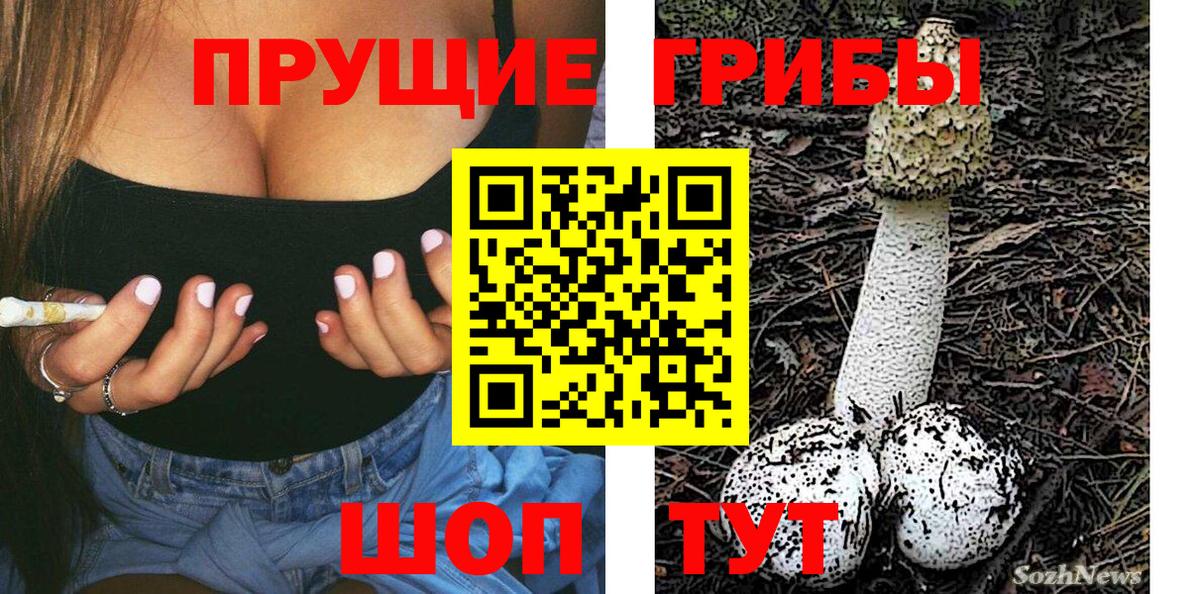 Псилоцибиновые грибы мицелий  Галлюциногенные грибы Psilocybine cubensis  Вход с VPN  Майский 