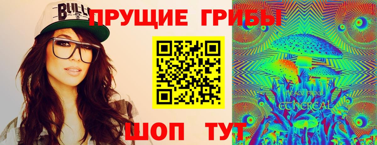 Галлюциногенные грибы Psilocybine cubensis Майский