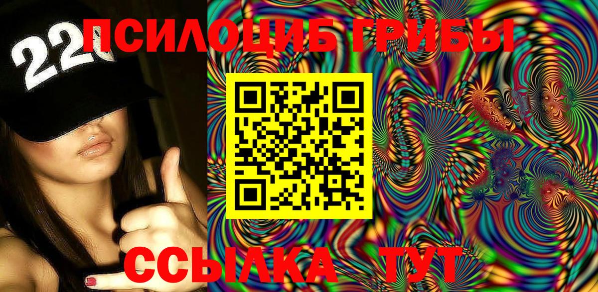 Псилоцибиновые грибы GOLDEN TEACHER  Майский  Псилоцибиновые грибы Cubensis 